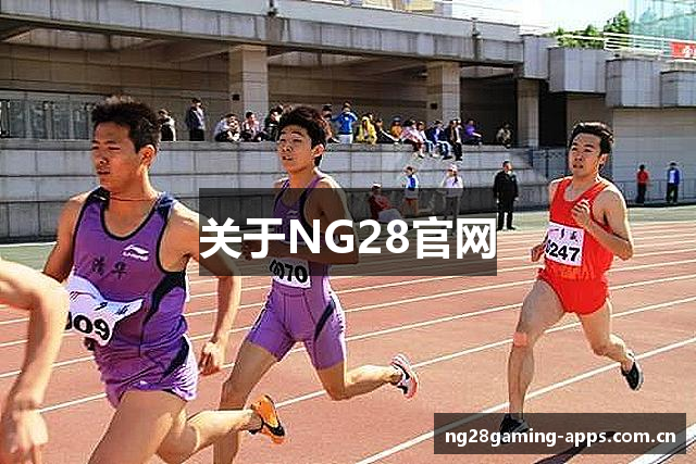 关于NG28官网